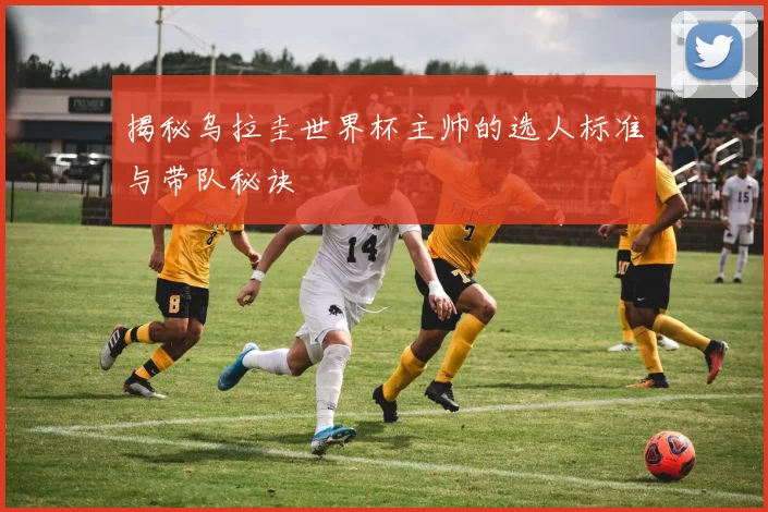 揭秘乌拉圭世界杯主帅的选人标准与带队秘诀